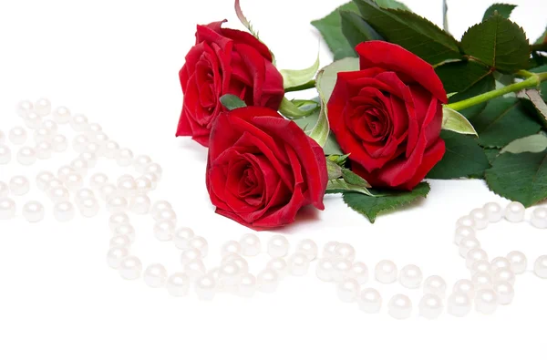 Roses and pearl beades — Stock Photo, Image