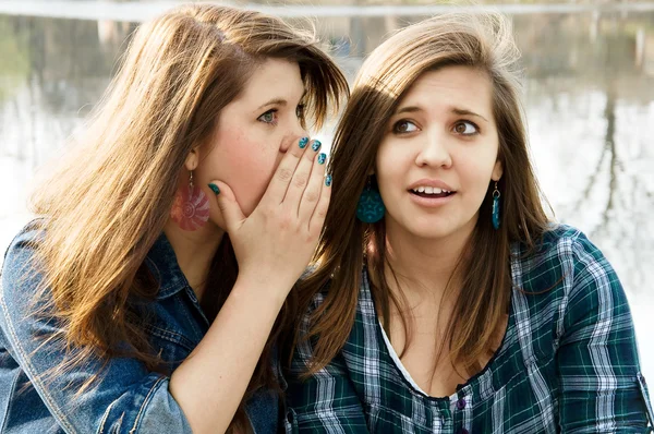 Twee vriendinnen gossip — Stockfoto