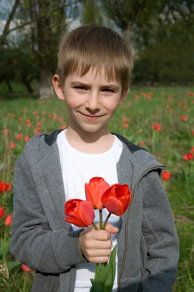 Menino com buquê de tulipas — Fotografia de Stock