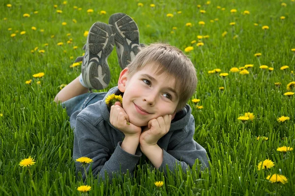 Хлопчик лежить на лузі кульбаби — стокове фото