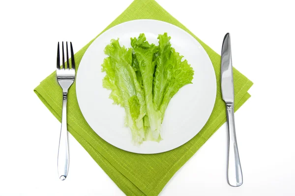 Lettuce leaves — Stock Photo, Image