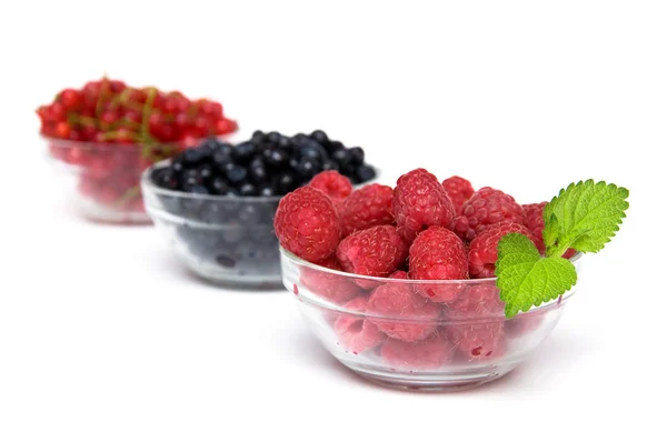 Summer berries — Stock Photo, Image