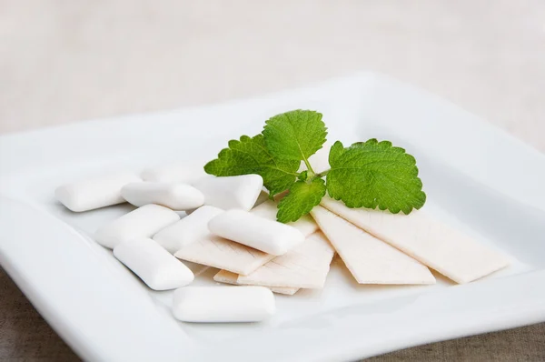 Chewing gum and mint — Stock Photo, Image