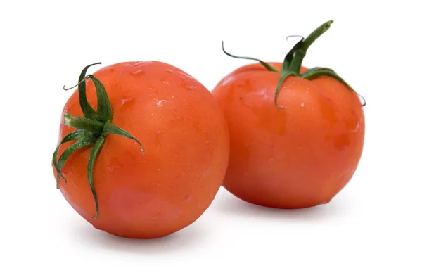 Два свежих помидора — стоковое фото