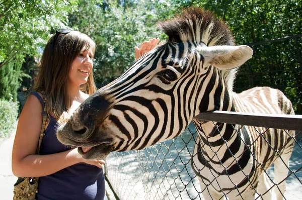 stock image Girl and zebra