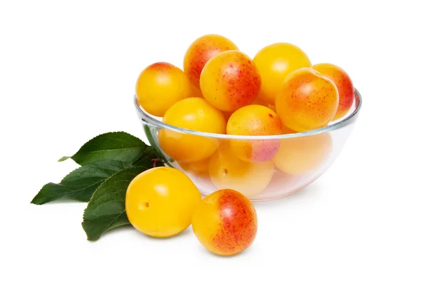 Żółtego cherry plum — Zdjęcie stockowe