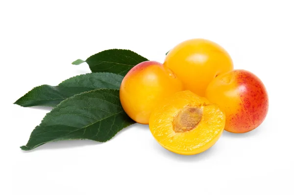 Żółte śliwki cherry — Zdjęcie stockowe