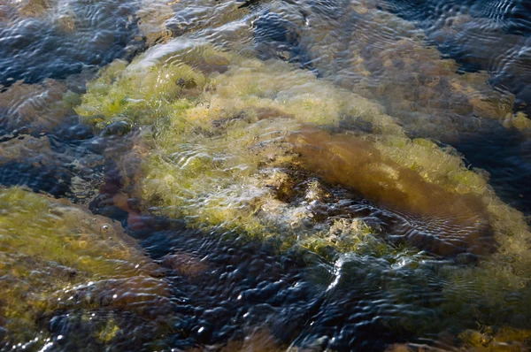 stock image Stones under water