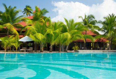 Palmiye ağaçlı yüzme havuzu