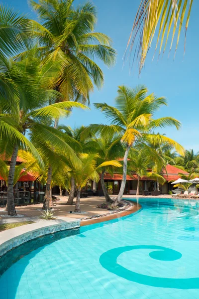 코코넛 야 자 나무와 수영장 — 스톡 사진