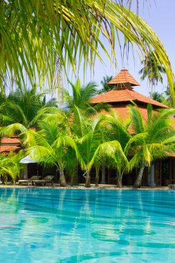 Swimming pool with coconut palm trees, vertical clipart