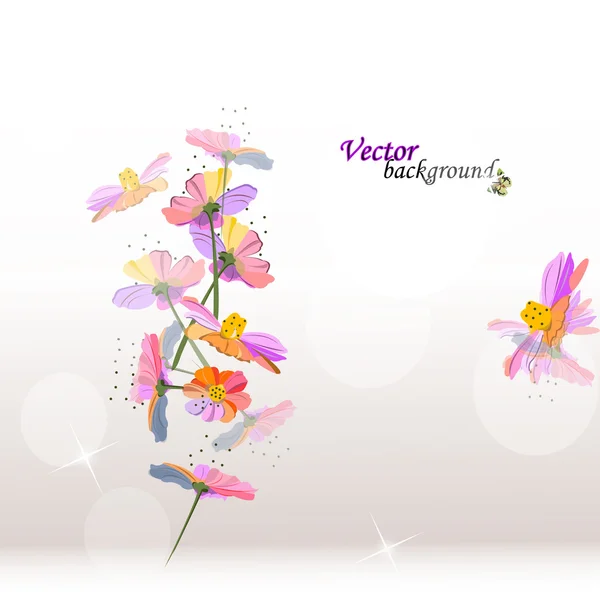 Beauty floral background — Stock Photo, Image