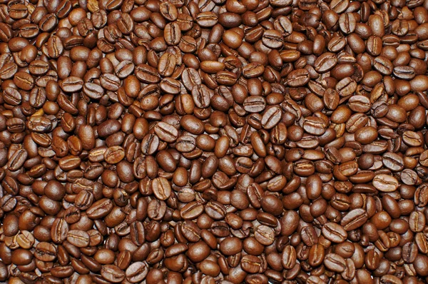 Coffee bean background — Stock Photo, Image