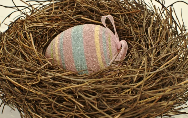 Huevo de Pascua en nido de aves — Foto de Stock