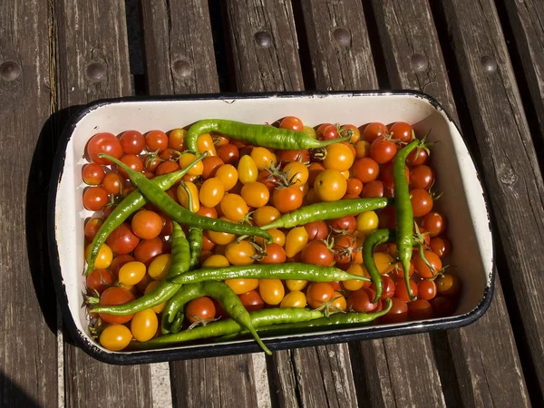 Pepper and tomato — Stock Photo, Image
