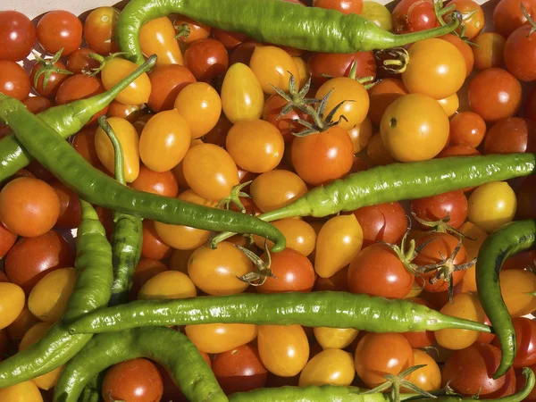 Papper en tomaat — Stockfoto