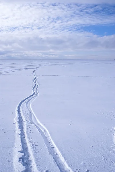 stock image Ыki trails in the snow