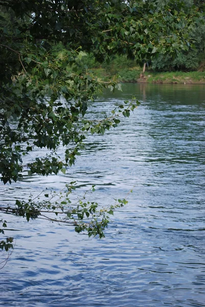 安静的河 — 图库照片