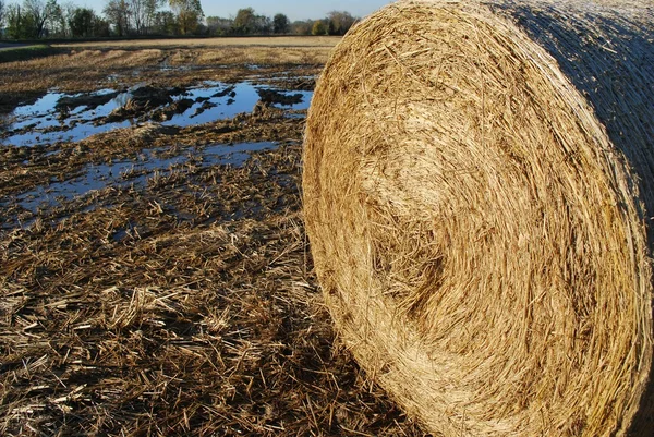 Hay bale and field — Stock Photo, Image