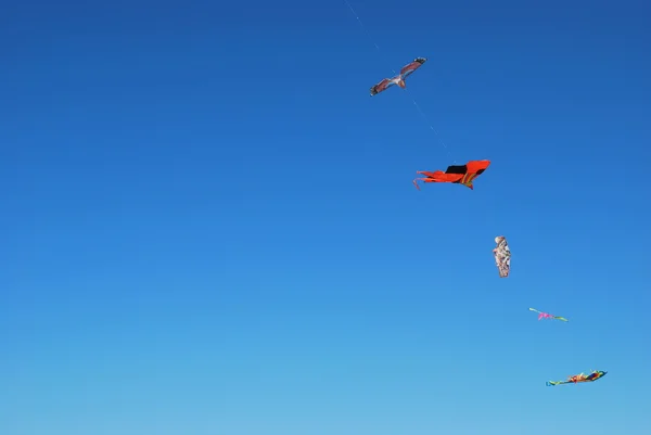 Кайты на голубом небе — стоковое фото