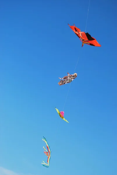 Vliegers op blauwe hemel — Stockfoto