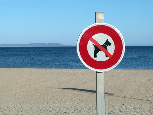 在海滩上没有狗迹象 — 图库照片