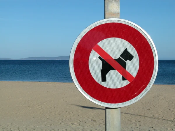 Geen hond teken op het strand — Stockfoto