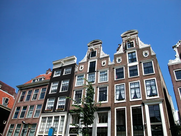 Domy v amsterdamu — Stock fotografie