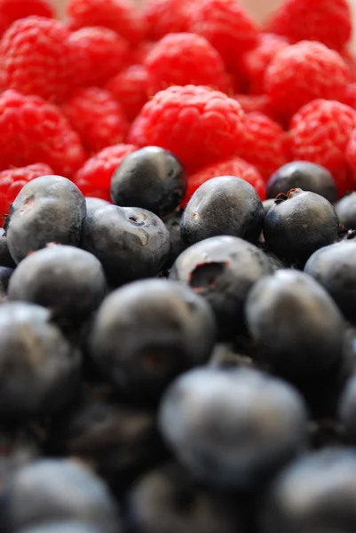 stock image Closeup of blueberries and raspberries