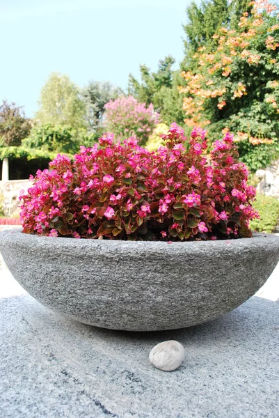Ciotola di pietra con fiori — Foto Stock