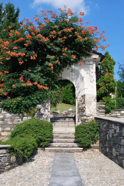 Антична кам'яна арка з квітами — стокове фото