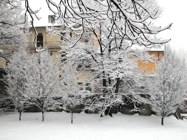 Сніговий покритий будинок і дерева — стокове фото