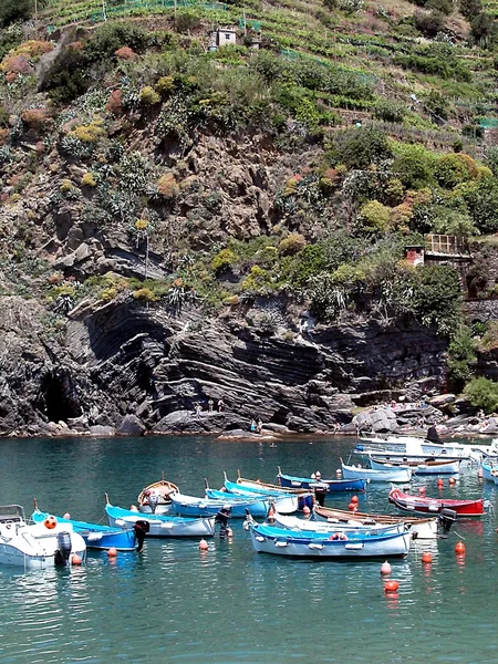 Vernazza, 34 года, Cinque terre — стоковое фото