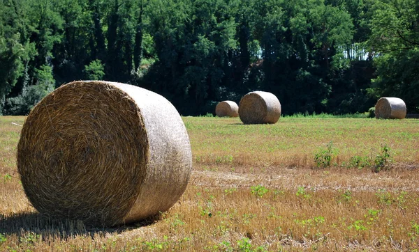 藁の俵 — ストック写真