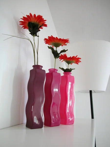 Gerbers in three vases — Stock Fotó