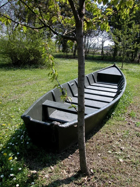 Barco viejo en el prado — Foto de Stock