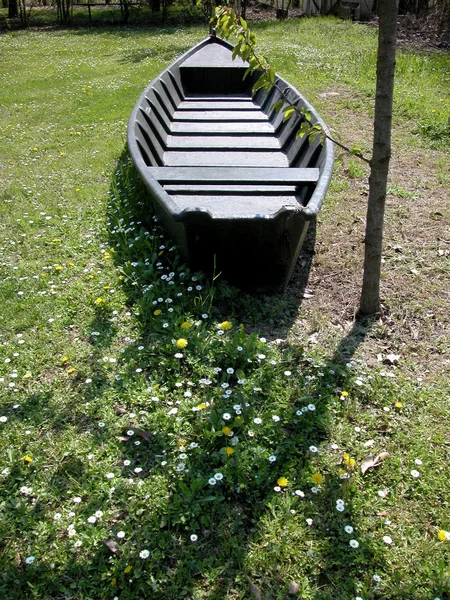 Barco viejo en el prado — Foto de Stock