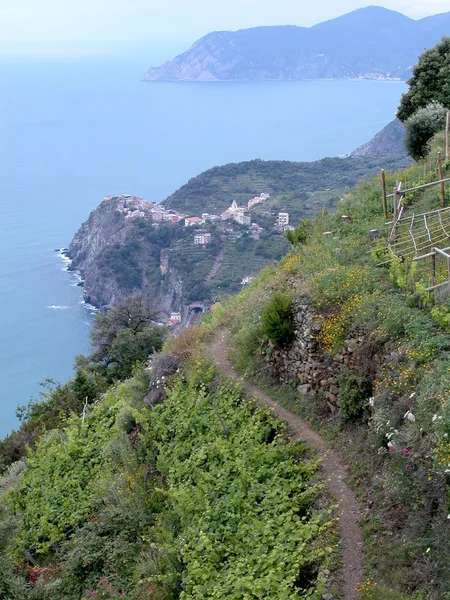 Corniglia and vineyards, Cinque Terre, Itália — Fotografia de Stock