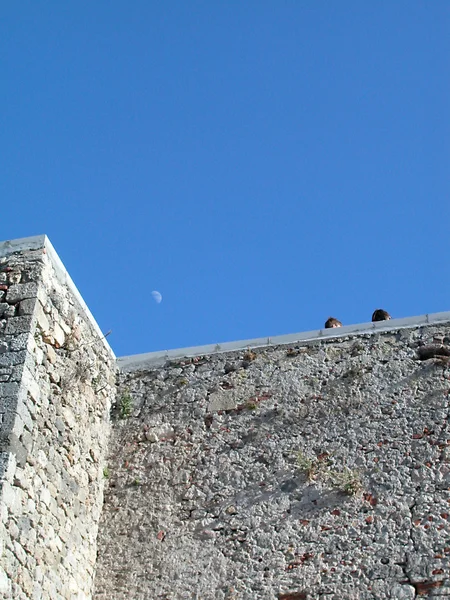 Talamone medeltida fästning — Stockfoto