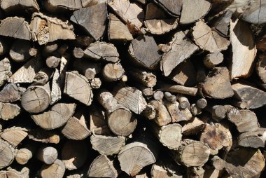 Woodpile