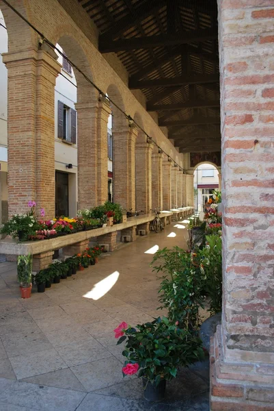 Casco antiguo de Rimini — Foto de Stock