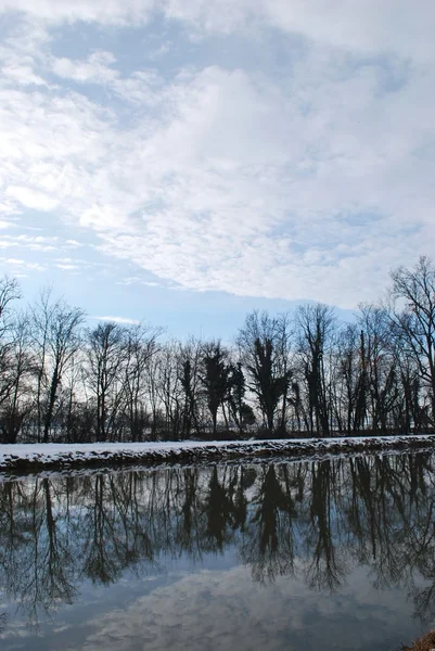 stock image Trees reflecting on water