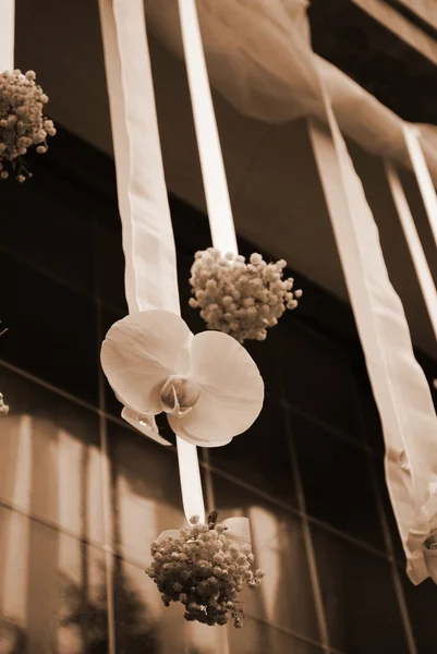 Wedding flowers decoration — Stock Photo, Image