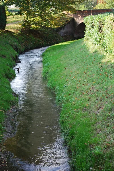 Fluxo de rio pequeno — Fotografia de Stock
