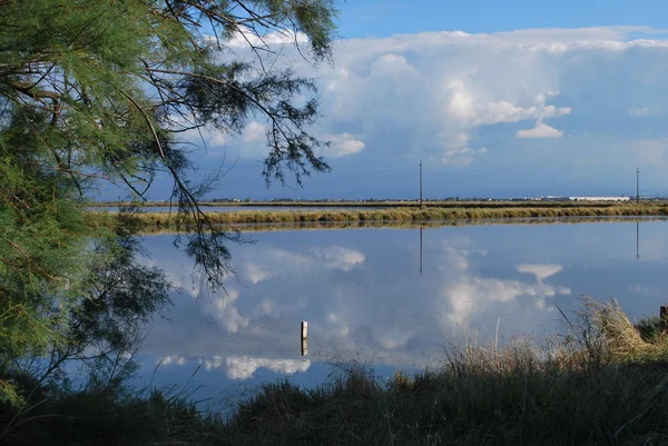 Pequeño lago — Foto de Stock