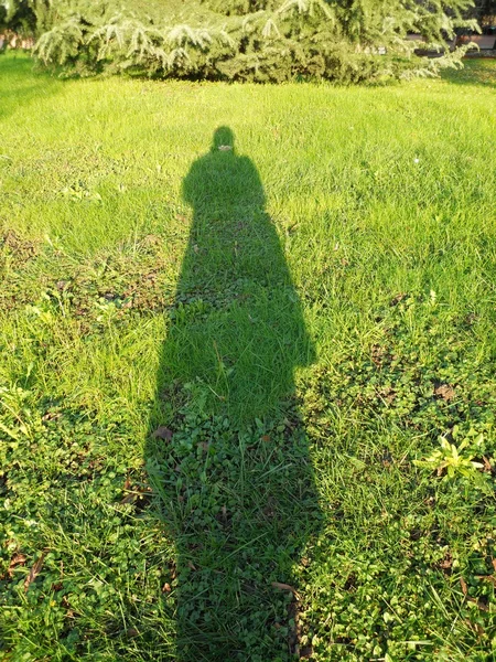 L'ombra della donna — Foto Stock