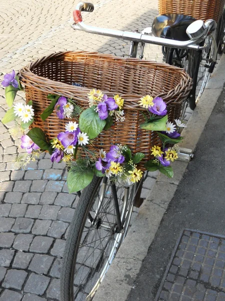 Велосипед з квітами — стокове фото