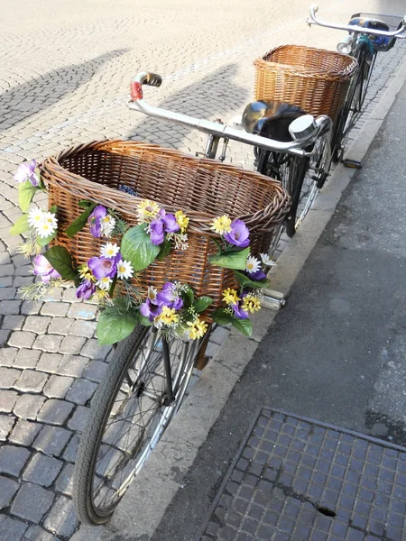 Bicycle with flowers Stock Picture