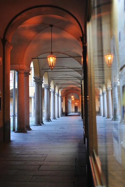 Pavia universidade — Fotografia de Stock