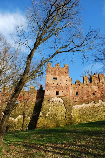 stock image Medieval castle